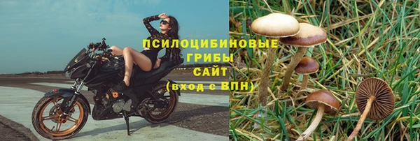 бутик Аркадак