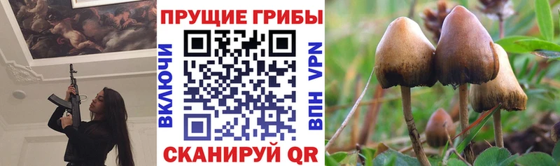 цена наркотик  Балашиха  Галлюциногенные грибы Magic Shrooms 