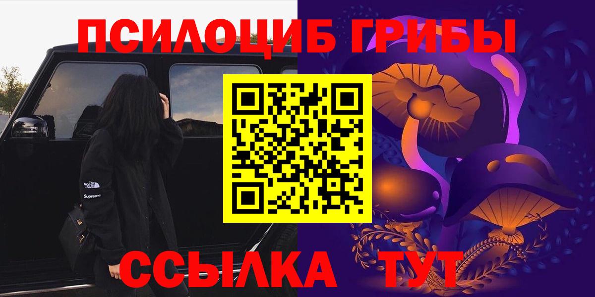 Псилоцибиновые грибы мицелий  Вход с VPN  Балашиха  Галлюциногенные грибы Psilocybine cubensis 